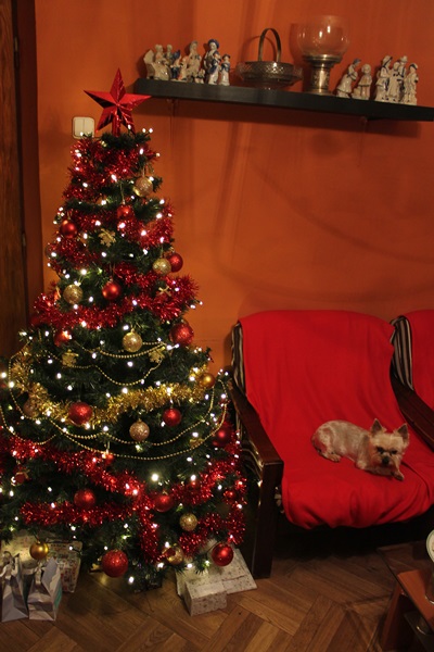 Vánoční stromeček slečny Annie